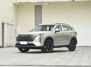 Great Wall Haval H6 2024 Petrol
