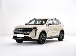 Great Wall Haval H6 2024 Petrol