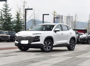 Chery Jetour Dashing 2024 Petrol