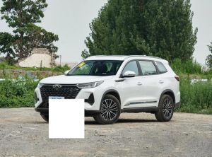 Chery Tiggo 8 PRO 2024 Petrol