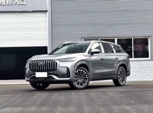 Chery Tiggo 9 2024 Petrol