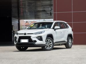 toyota wildlander 2023 Petrol