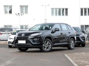 toyota wildlander 2023 Petrol