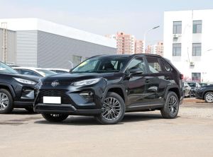 toyota wildlander 2023 Petrol