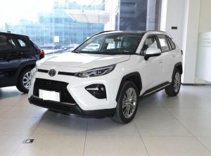 toyota wildlander 2023 Petrol