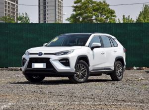 toyota wildlander 2023 Hybrid