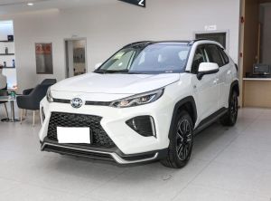 toyota wildlander 2023 Plug-in Hybrid