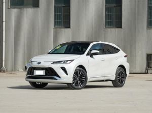 toyota venza 2023 Petrol