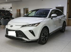 toyota venza 2023 Petrol