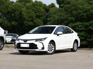 toyota corolla 2023 Petrol