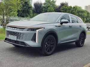 exeed stellar 2024 Petrol