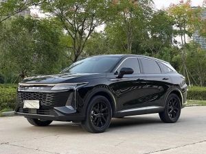 exeed stellar 2023 Petrol