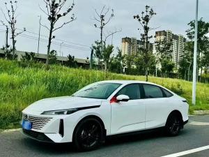 changan yida 2023 Petrol