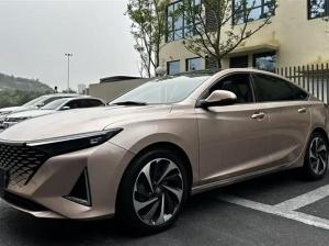 changan raeton plus 2022 Petrol