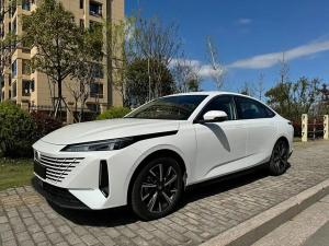 changan yida 2023 Petrol