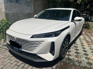 changan yida 2023 Petrol