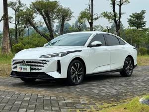 changan yida 2023 Petrol