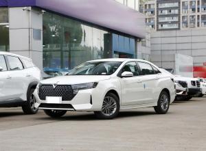 Nissan Venucia D60 2023 Petrol