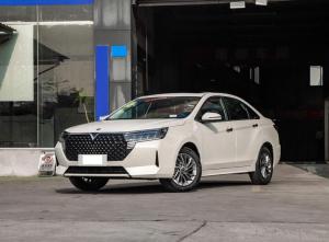 Nissan Venucia D60 2023 Petrol