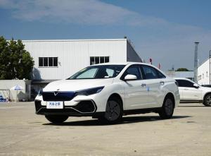 Nissan Venucia D60 2023 Electric