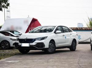 Nissan Venucia D60 2023 Electric