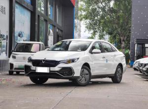 Nissan Venucia D60 2023 Electric