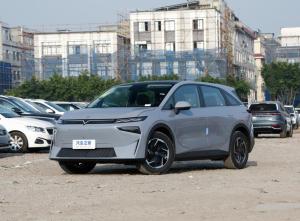 Nissan Venucia VX6 2023 Electric