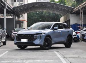 Nissan Venucia V-Online 2023 Petrol