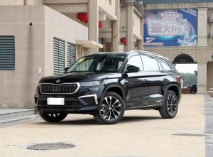 skoda kodiaq 2023 Petrol