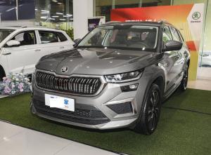 skoda kodiaq 2023 Petrol