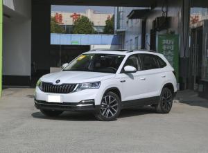 skoda kamiq 2023 Petrol
