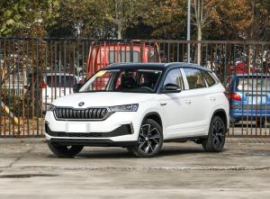 skoda kamiq 2023 Petrol