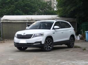 skoda kamiq 2023 Petrol