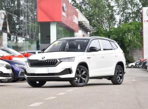skoda kamiq 2023 Petrol