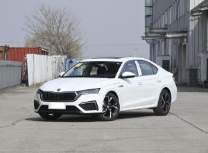 skoda octavia 2023 Petrol