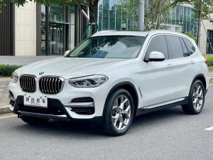 bmw x3 2019 Petrol