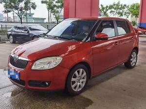skoda fabia 2010 Petrol