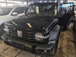 tank 300 2021 Petrol