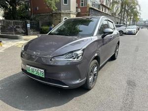 neta v 2022 Electric