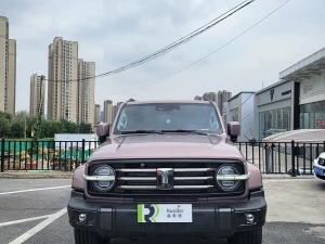 tank 300 2023 Petrol