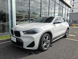 bmw x2 2021 Petrol