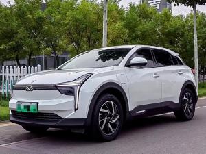 neta u 2020 Electric