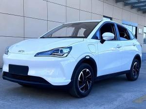 neta v 2022 Electric