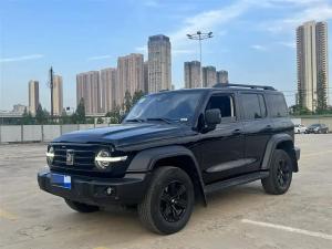 tank 300 2020 Petrol