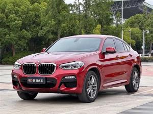 bmw x4 2019 Petrol