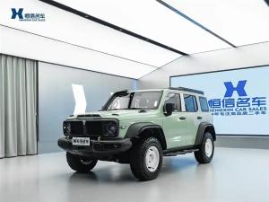 tank 300 2023 Petrol