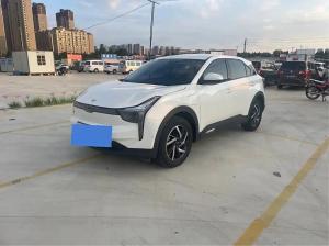 neta u 2021 Electric