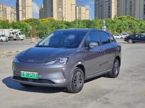 neta v 2022 Electric