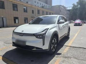 neta u 2023 Electric