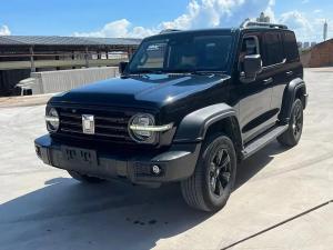 tank 300 2022 Petrol